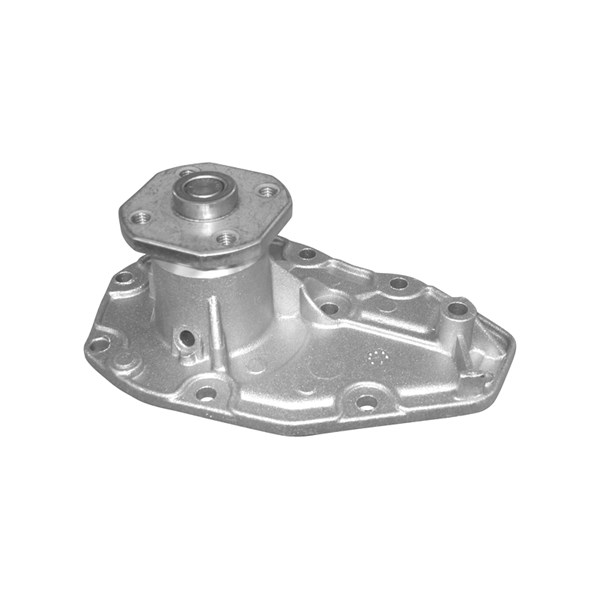 Vattenpump Dolz R112 DOLZ
