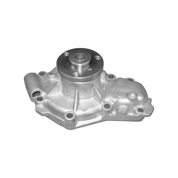 Vattenpump Dolz R137 DOLZ