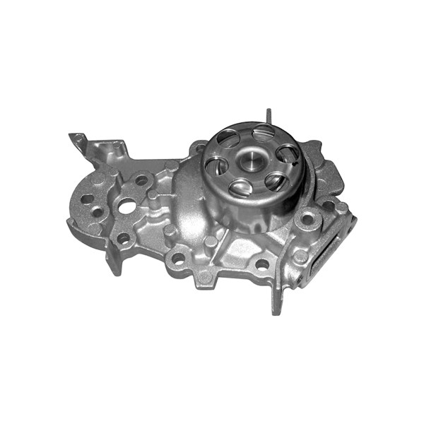 Vattenpump Dolz R228 DOLZ