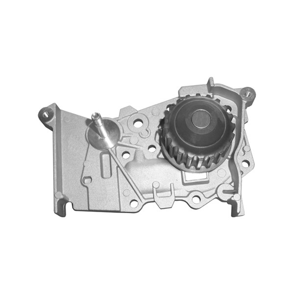 Vattenpump Dolz R236 DOLZ