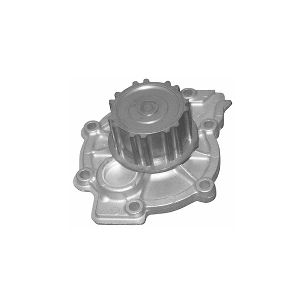 Vattenpump Dolz R302 DOLZ Vattenpump Dolz R302 DOLZ