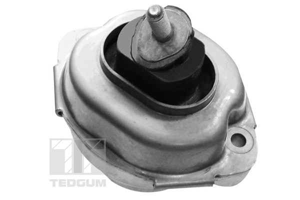 Motorkudde, Tvåsidig Tedgum 00088396 TEDGUM