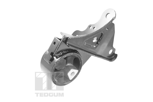 Motorkudde, Bak Tedgum 00131530 TEDGUM