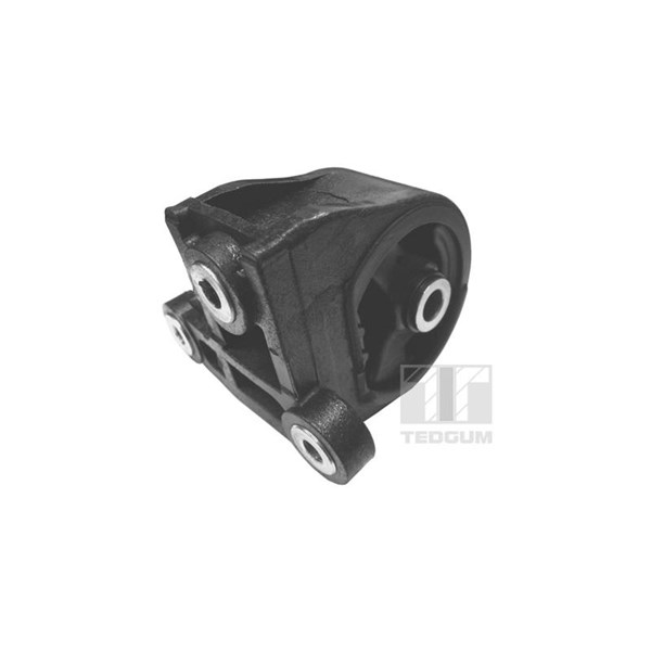 Motorkudde, Bak Tedgum 00260907 TEDGUM