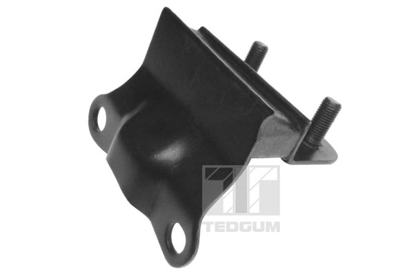 Motorkudde, Bak, Nedre Tedgum 00391655 TEDGUM