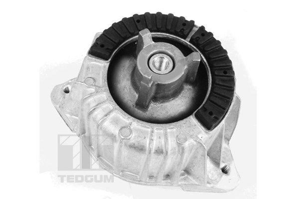 Motorkudde, Vänster fram Tedgum 00418473 TEDGUM