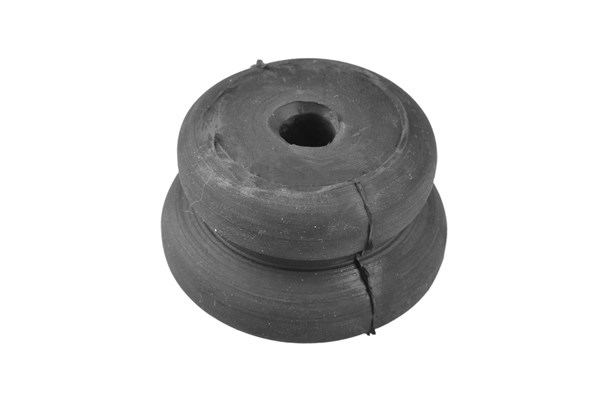 Fjäderbenslager, Framaxel Tedgum 00466172 TEDGUM