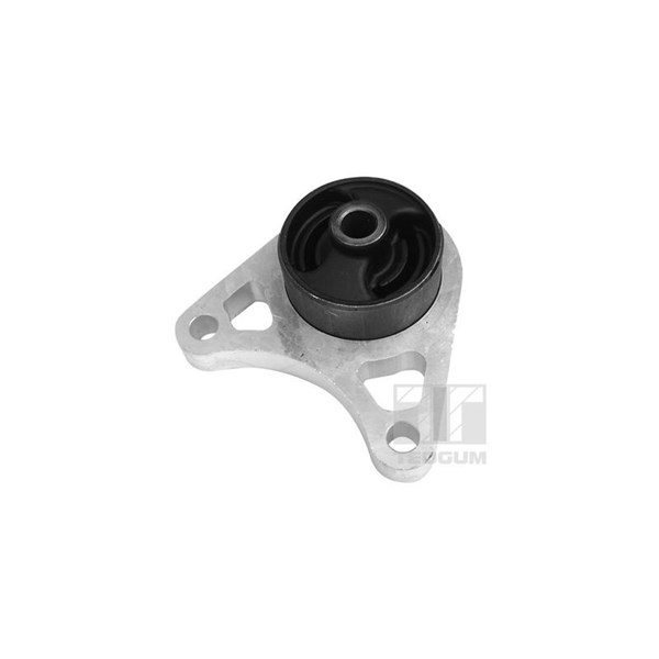 Fäste, differential, Fram, Bakaxel TEDGUM