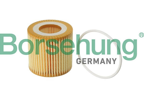Oljefilter Borsehung B12219 Borsehung