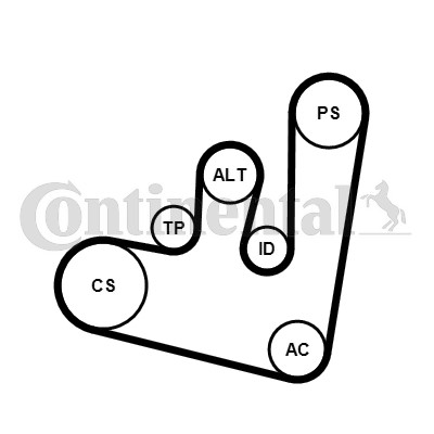 Drivremsats Contitech 6PK1660K2 CONTITECH