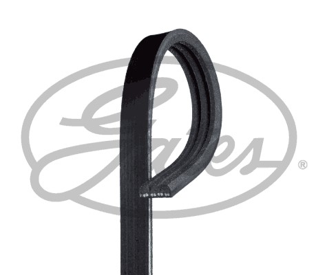 Drivrem Gates Fleetrunnerâ¢ K030334RPM Gates