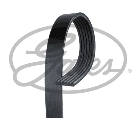 Drivrem Gates Fleetrunnerâ¢ K061005RPM Gates
