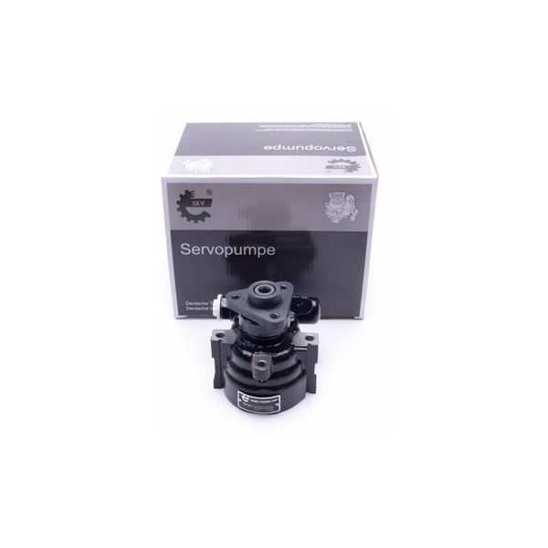 Servopump Esen skv 10SKV302 ESEN SKV