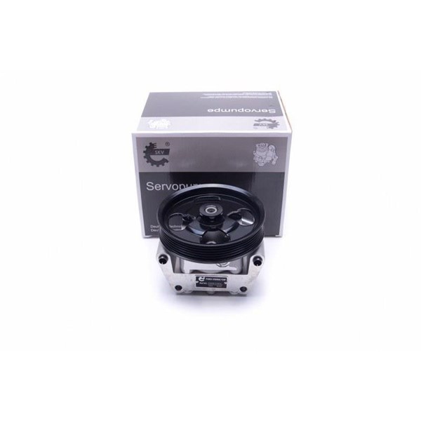 Servopump Esen skv 10SKV304 ESEN SKV