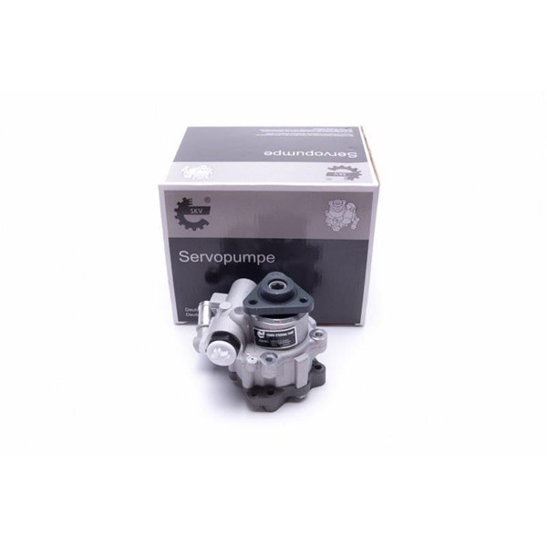 Servopump Esen skv 10SKV305 ESEN SKV