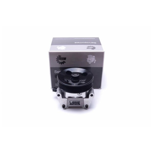 Servopump Esen skv 10SKV306 ESEN SKV Servopump Esen skv 10SKV306 ESEN SKV