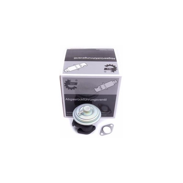 Egr-ventil Esen skv 14SKV203 ESEN SKV