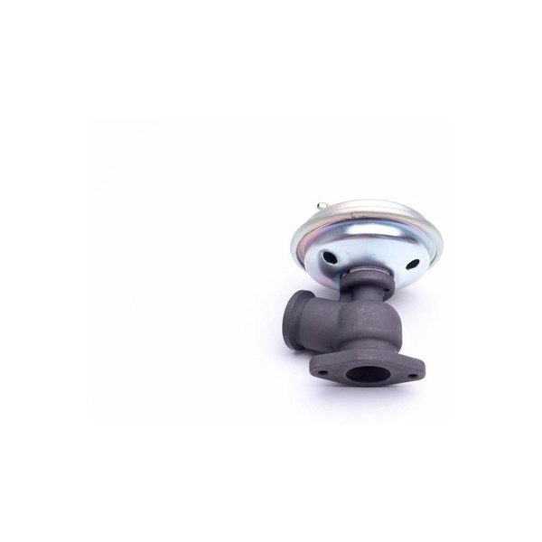 Egr-ventil Esen skv 14SKV203 ESEN SKV