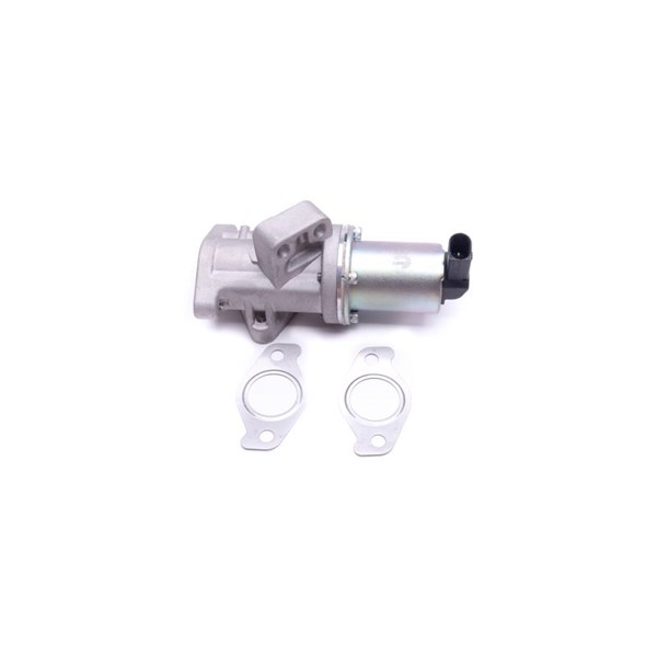 Egr-ventil Esen skv 14SKV212 ESEN SKV