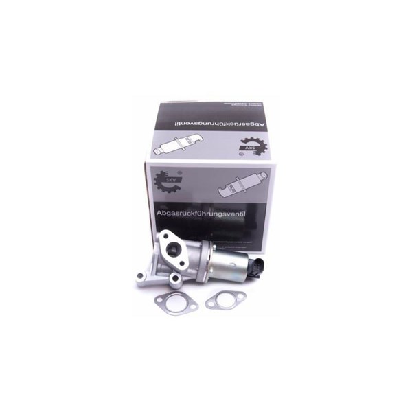 Egr-ventil Esen skv 14SKV213 ESEN SKV