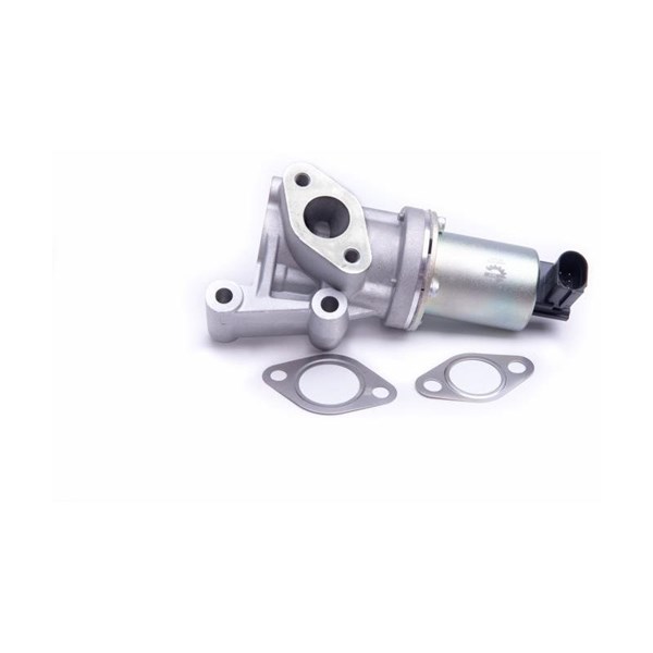 Egr-ventil Esen skv 14SKV213 ESEN SKV