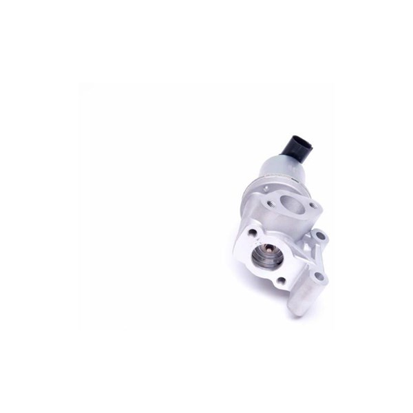 Egr-ventil Esen skv 14SKV213 ESEN SKV