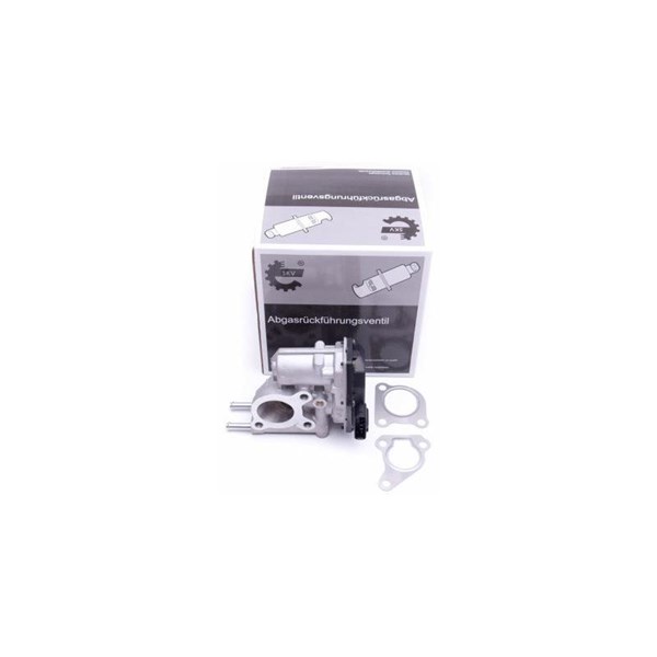 Egr-ventil Esen skv 14SKV215 ESEN SKV