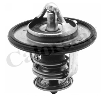Termostat, kylvätska, Vattenpump Calorstat by vernet TH6587.87J CALORSTAT by Vernet