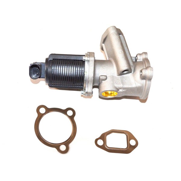 Egr-ventil Fast FT60204 FAST