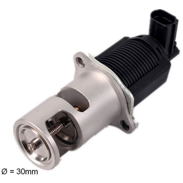Egr-ventil Fast FT60207 FAST
