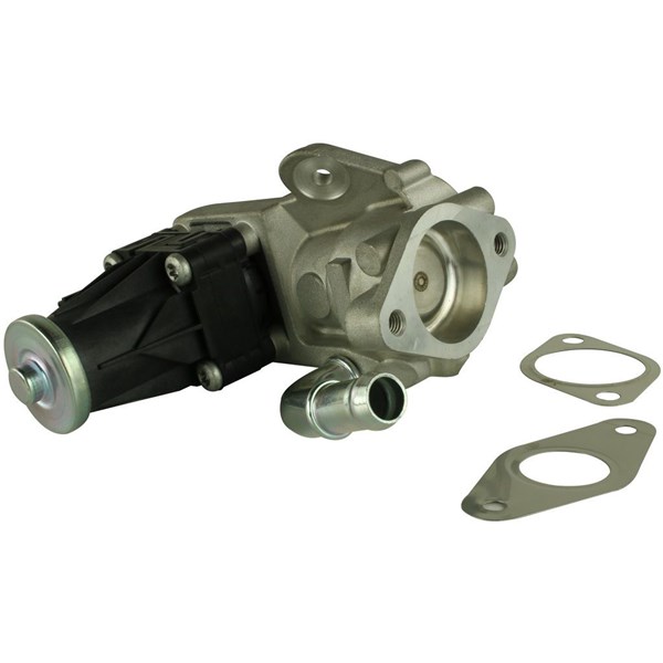 Egr-ventil Fast FT60223 FAST