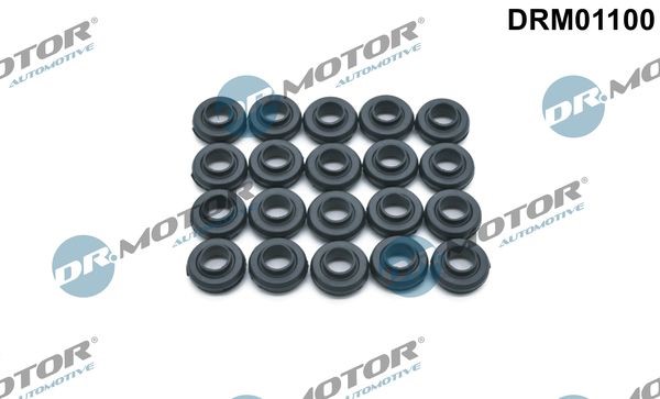 Packning, topplocksbult Dr.motor automotive DRM01100 Dr.Motor Automotive