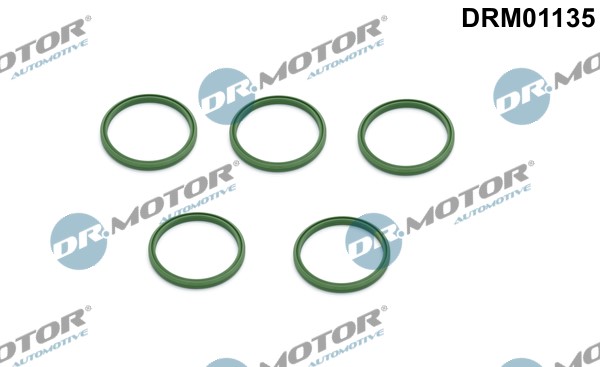Insug, luftfilter Dr.motor automotive DRM01135 Dr.Motor Automotive