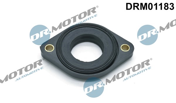 Packning, kamaxeljustering Dr.motor automotive DRM01183 Dr.Motor Automotive