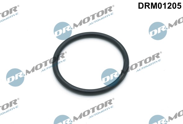 Packning, vattenpump Dr.motor automotive DRM01205 Dr.Motor Automotive