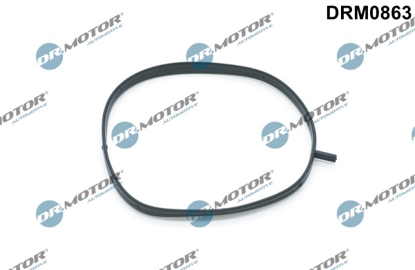 Packning, insug , grenrörshus Dr.Motor Automotive Packning, insug , grenrörshus Dr.Motor Automotive