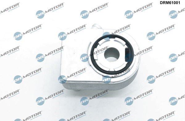 Oljekylare, motor Dr.motor automotive DRM61001 Dr.Motor Automotive