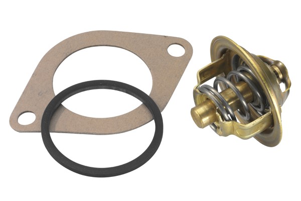 Termostat, kylvätska Borgwarner (wahler) 3054.92D50 BorgWarner (Wahler)