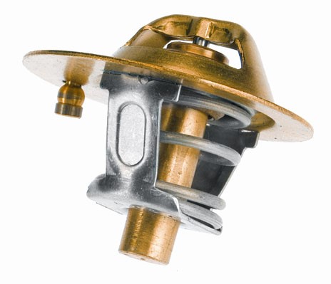 Termostat, kylvätska Borgwarner (wahler) 3119.82 BorgWarner (Wahler)