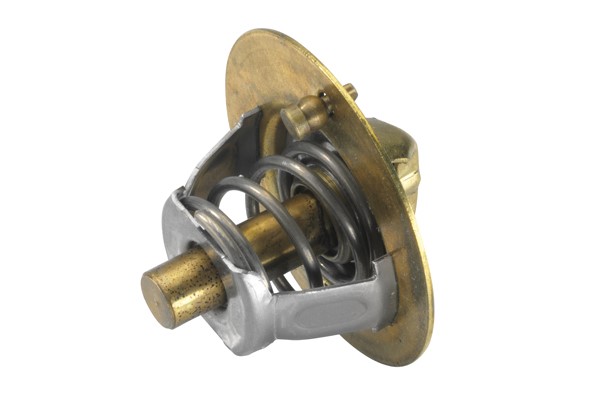 Termostat, kylvätska Borgwarner (wahler) 3119.82 BorgWarner (Wahler)