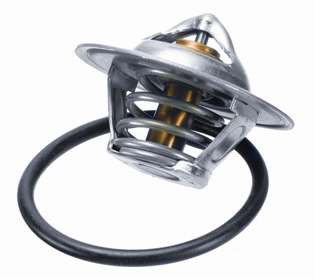 Termostat, kylvätska Borgwarner (wahler) 3141.87D BorgWarner (Wahler)