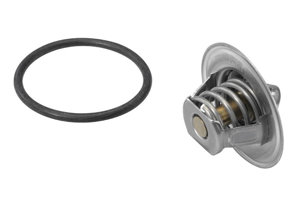 Termostat, kylvätska Borgwarner (wahler) 3141.87D BorgWarner (Wahler)
