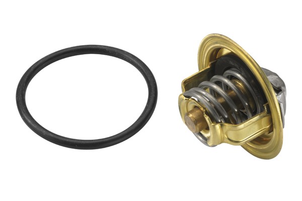 Termostat, kylvätska Borgwarner (wahler) 3472.87D BorgWarner (Wahler)