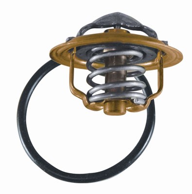 Termostat, kylvätska Borgwarner (wahler) 3472.87D BorgWarner (Wahler)