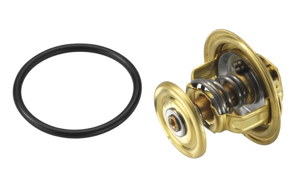 Termostat, kylvätska Borgwarner (wahler) 4006.82D BorgWarner (Wahler)