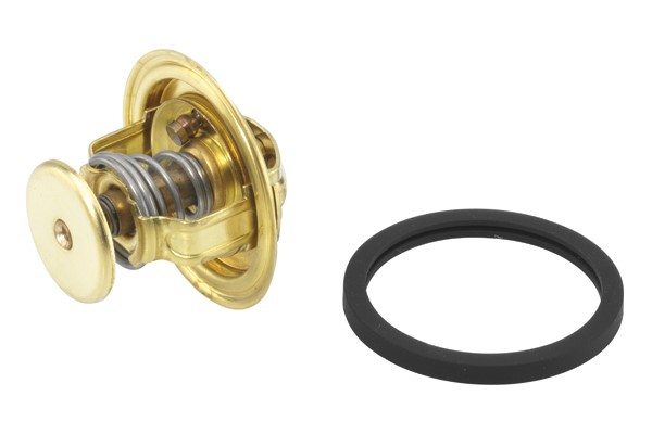 Termostat, kylvätska Borgwarner (wahler) 4022.82D BorgWarner (Wahler)