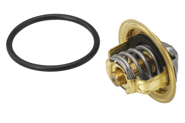 Termostat, kylvätska Borgwarner (wahler) 410396.82D BorgWarner (Wahler)