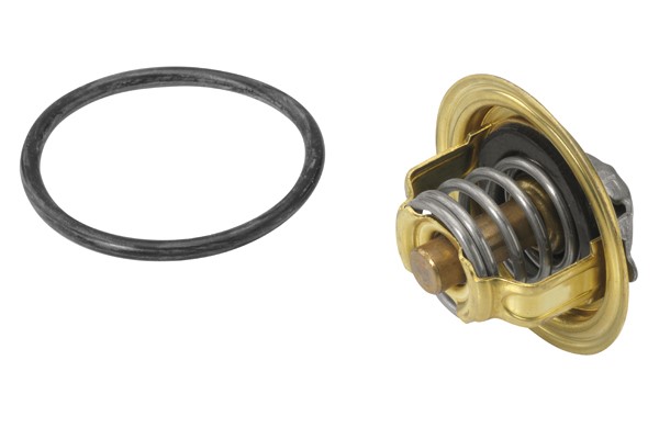 Termostat, kylvätska Borgwarner (wahler) 410537.92D BorgWarner (Wahler)