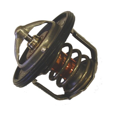Termostat, kylvätska Borgwarner (wahler) 411716.88D BorgWarner (Wahler)