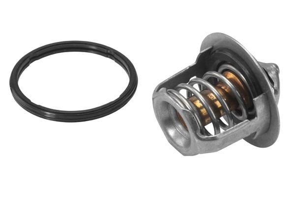Termostat, kylvätska Borgwarner (wahler) 411716.88D BorgWarner (Wahler)